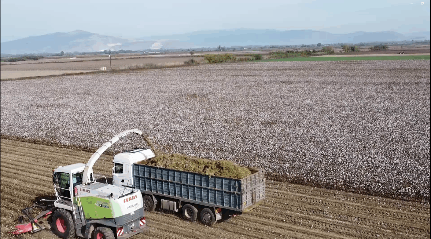 PRIMARY: Ενέργεια από υπολείμματα βαμβακιού και ελιάς στην Καρδίτσα – Πέλετ, αεριοποίηση, και biochar