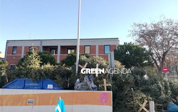 Θεσσαλονίκη: Πρόγραμμα ανακύκλωσης χριστουγεννιάτικων δέντρων