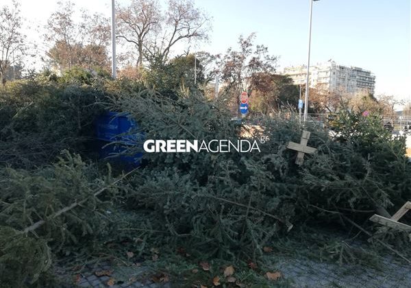 Θεσσαλονίκη: Οι επιδόσεις των δήμων που ανακύκλωσαν φυσικά χριστουγεννιάτικα δένδρα